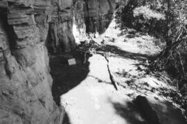 NMSA 03 8864P