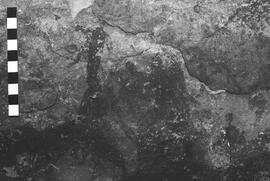 NMSA 03 5288P