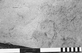 NMSA 03 134N