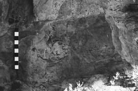 NMSA 03 2724P