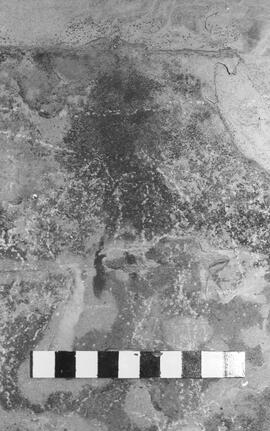 NMSA 03 1466P