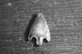 NMSA 03 8780P