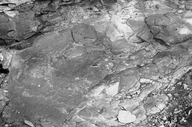 NMSA 03 4711P