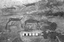 NMSA 03 1074P