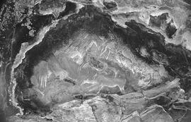 NMSA 03 624P