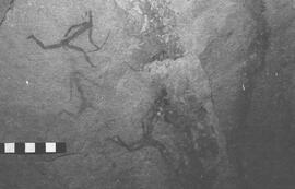 NMSA 03 2629P