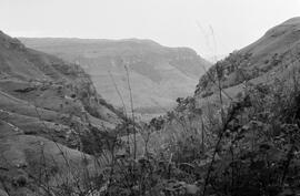 NMSA 03 4055P