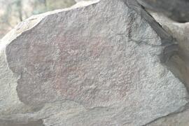 NMSA RSA KIM2 9D