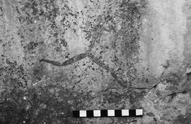 NMSA 03 4213P