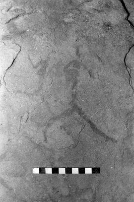 NMSA 03 6912P