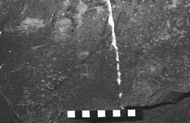 NMSA 03 5772P