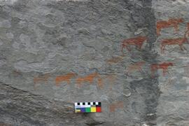 NMSA RSA KIM2 31D