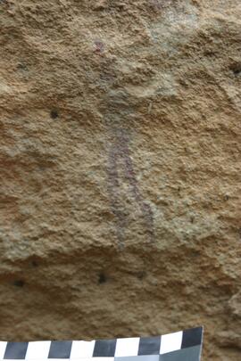 NMSA RSA LNM1 15D