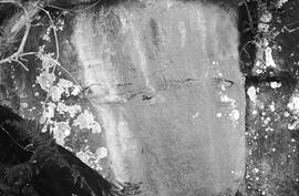 NMSA 03 5837P