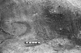 NMSA 03 4059P