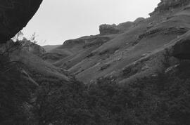 NMSA 03 6581P