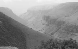 NMSA 03 8941P