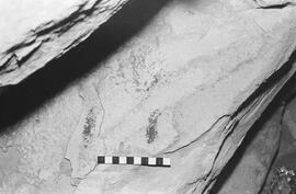 NMSA 03 1767P