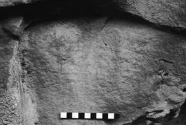 NMSA 03 6193P