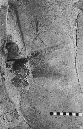 NMSA 03 5780P