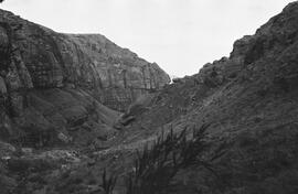 NMSA 03 5814P