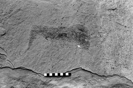 NMSA 03 4095P