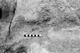NMSA 03 4486P