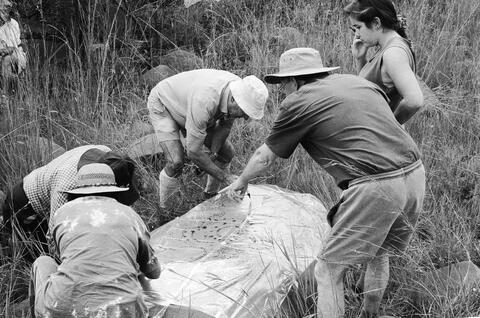 Open original Digitaal object