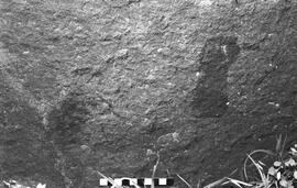 NMSA 03 5774P
