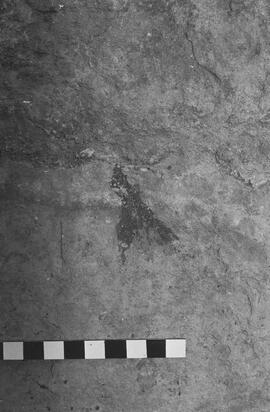 NMSA 03 5395P