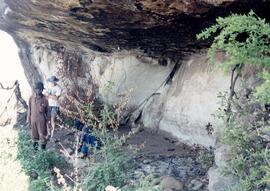 NMSA 02 283P