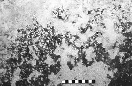 NMSA 03 4610P