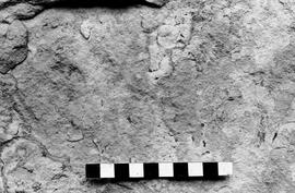 NMSA 03 4316P