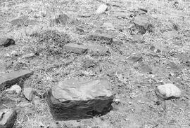 NMSA 03 8169P