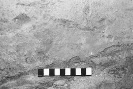 NMSA 03 1434P