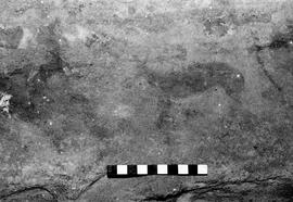 NMSA 03 6348P