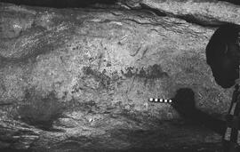 NMSA 03 183P
