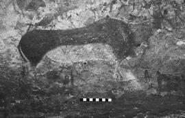 NMSA 03 5279P