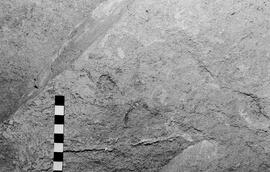 NMSA 03 6393P