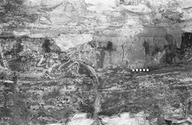 NMSA 03 1455P