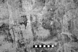 NMSA 03 4339P