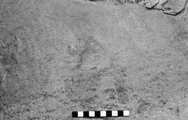 NMSA 03 4060P