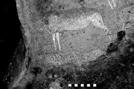 NMSA 03 3488P
