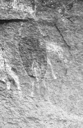 NMSA 03 369P