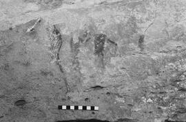 NMSA 03 6568P