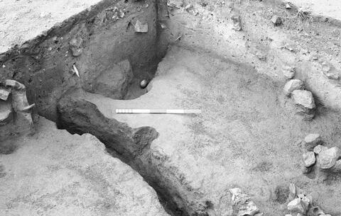 Open original Digital object