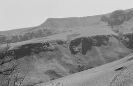 NMSA 03 3394P