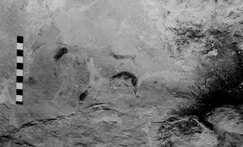 NMSA 03 5756P