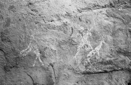 NMSA 03 7797P