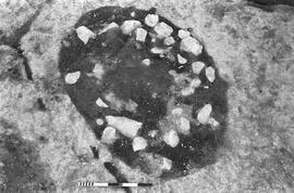 NMSA 03 649P